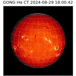 gong - 2024-08-29T18:00:42