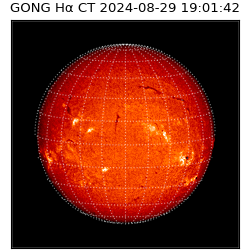 gong - 2024-08-29T19:01:42