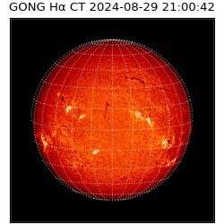 gong - 2024-08-29T21:00:42