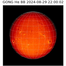 gong - 2024-08-29T22:00:02