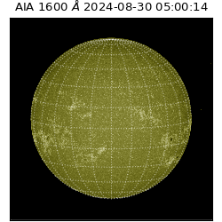 saia - 2024-08-30T05:00:14.125000