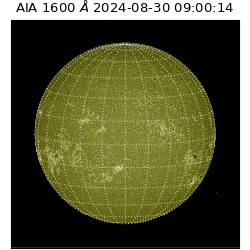 saia - 2024-08-30T09:00:14.126000