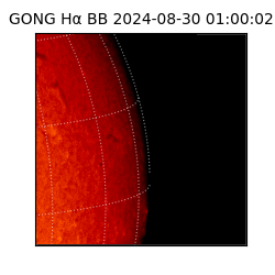 gong - 2024-08-30T01:00:02