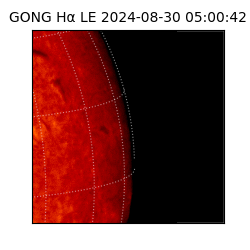 gong - 2024-08-30T05:00:42