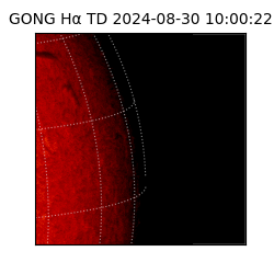 gong - 2024-08-30T10:00:22