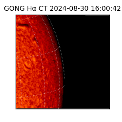 gong - 2024-08-30T16:00:42