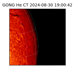 gong - 2024-08-30T19:00:42