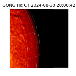 gong - 2024-08-30T20:00:42