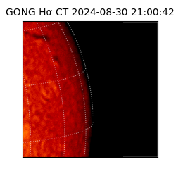 gong - 2024-08-30T21:00:42