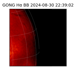 gong - 2024-08-30T22:39:02