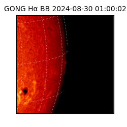 gong - 2024-08-30T01:00:02