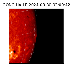 gong - 2024-08-30T03:00:42