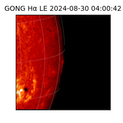 gong - 2024-08-30T04:00:42