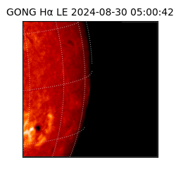 gong - 2024-08-30T05:00:42