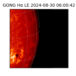 gong - 2024-08-30T06:00:42