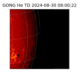 gong - 2024-08-30T08:00:22