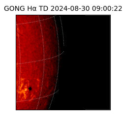 gong - 2024-08-30T09:00:22