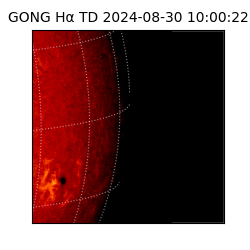 gong - 2024-08-30T10:00:22