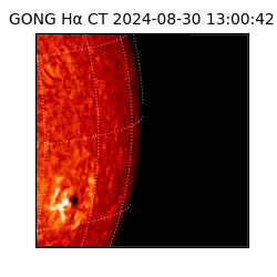 gong - 2024-08-30T13:00:42