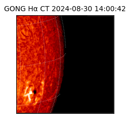 gong - 2024-08-30T14:00:42