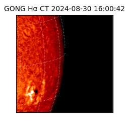 gong - 2024-08-30T16:00:42