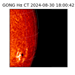 gong - 2024-08-30T18:00:42