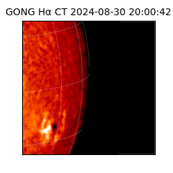 gong - 2024-08-30T20:00:42