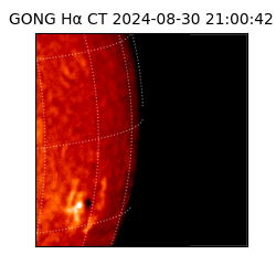 gong - 2024-08-30T21:00:42