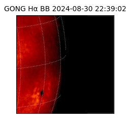 gong - 2024-08-30T22:39:02