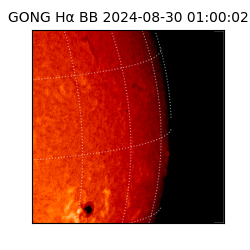 gong - 2024-08-30T01:00:02