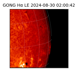 gong - 2024-08-30T02:00:42