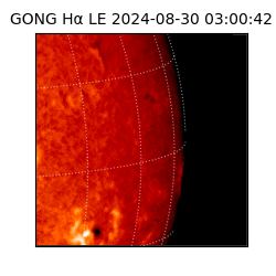 gong - 2024-08-30T03:00:42