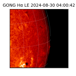 gong - 2024-08-30T04:00:42