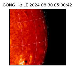 gong - 2024-08-30T05:00:42