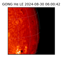 gong - 2024-08-30T06:00:42
