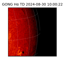 gong - 2024-08-30T10:00:22