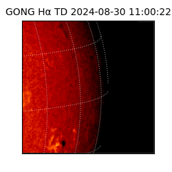 gong - 2024-08-30T11:00:22