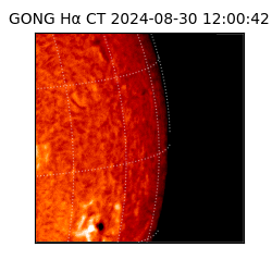 gong - 2024-08-30T12:00:42