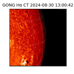 gong - 2024-08-30T13:00:42