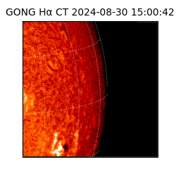 gong - 2024-08-30T15:00:42