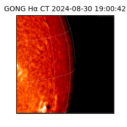 gong - 2024-08-30T19:00:42