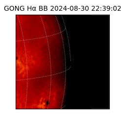 gong - 2024-08-30T22:39:02