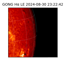 gong - 2024-08-30T23:22:42