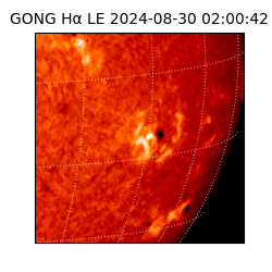 gong - 2024-08-30T02:00:42