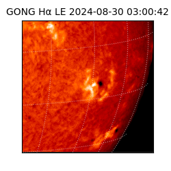 gong - 2024-08-30T03:00:42