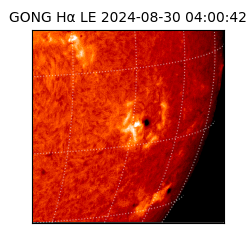 gong - 2024-08-30T04:00:42