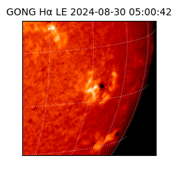 gong - 2024-08-30T05:00:42