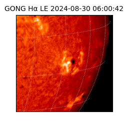 gong - 2024-08-30T06:00:42