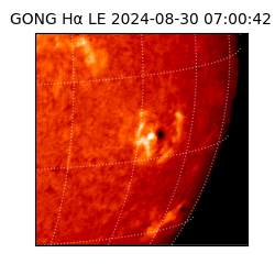 gong - 2024-08-30T07:00:42