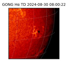 gong - 2024-08-30T08:00:22